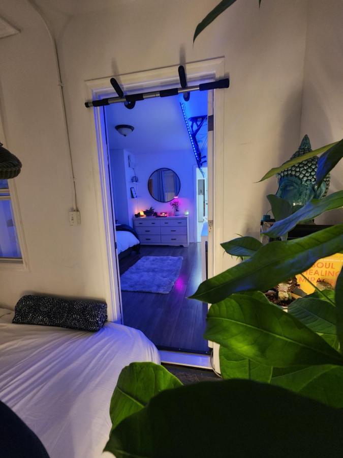 Zen Oasis * Newark